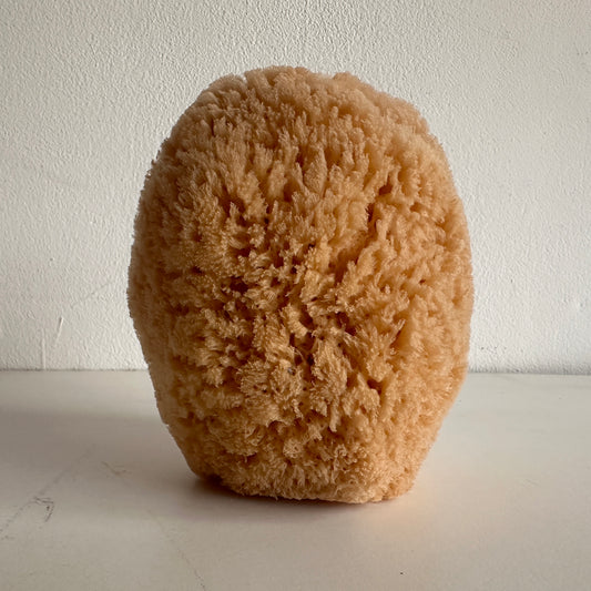BB014 NATURAL SPONGE