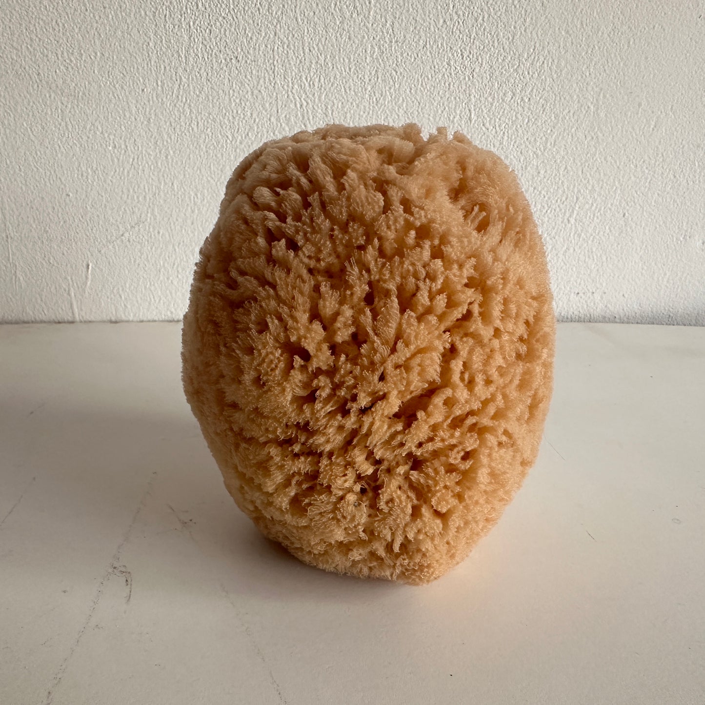 BB014 NATURAL SPONGE