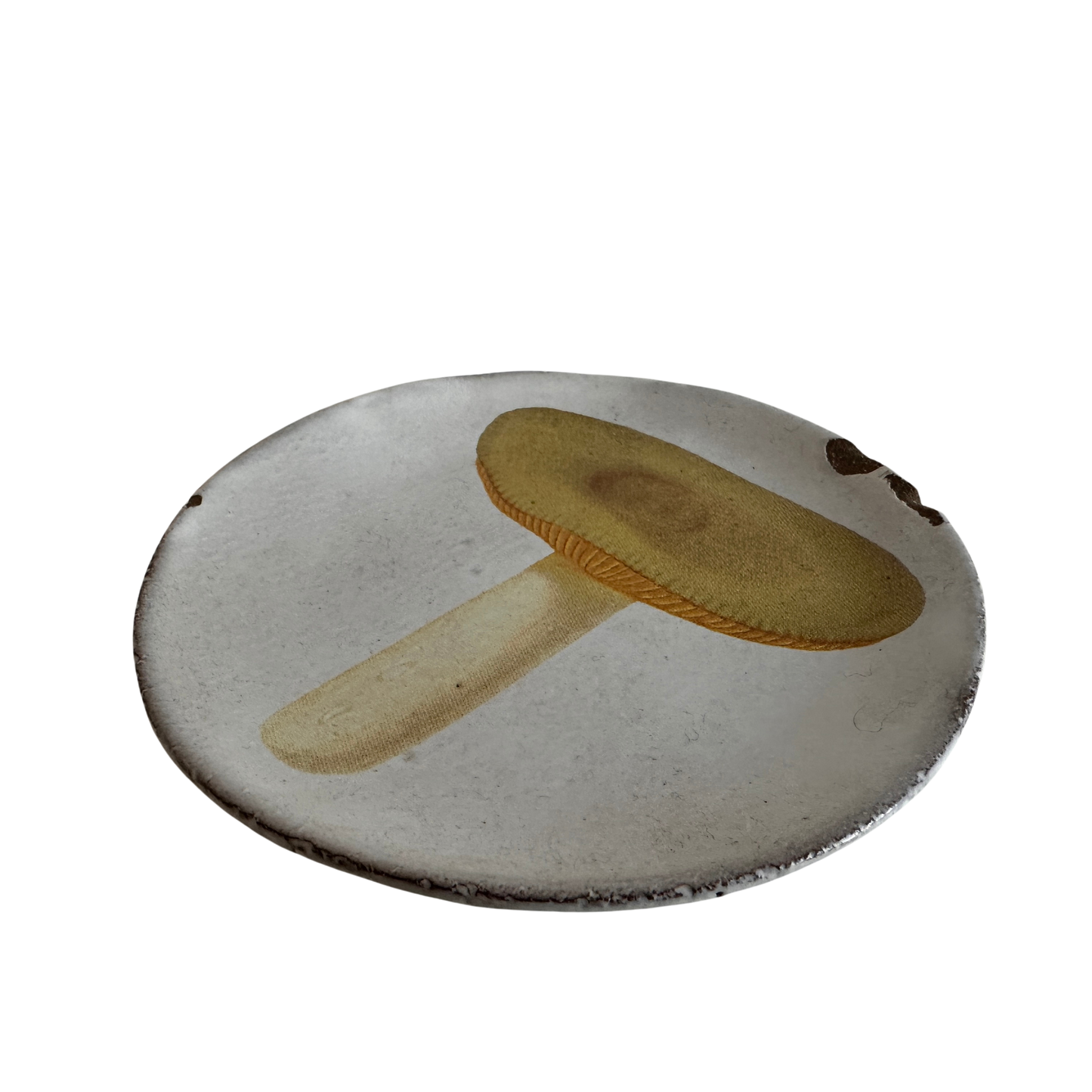 CT010 LITTLE MUSHROOM CERAMIC PLATE