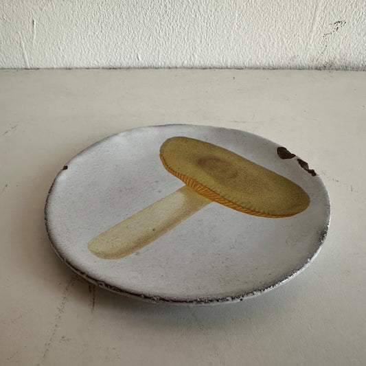 CT010 LITTLE MUSHROOM CERAMIC PLATE