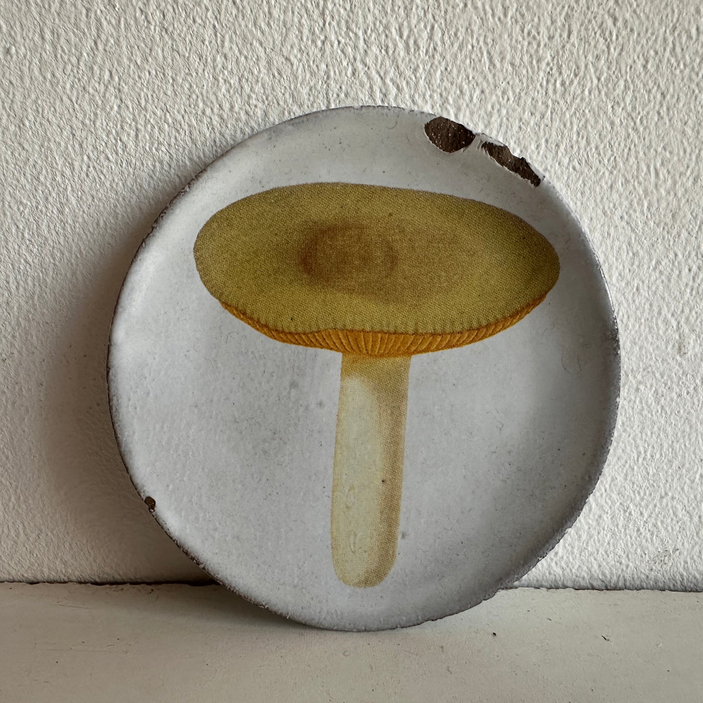 CT010 LITTLE MUSHROOM CERAMIC PLATE