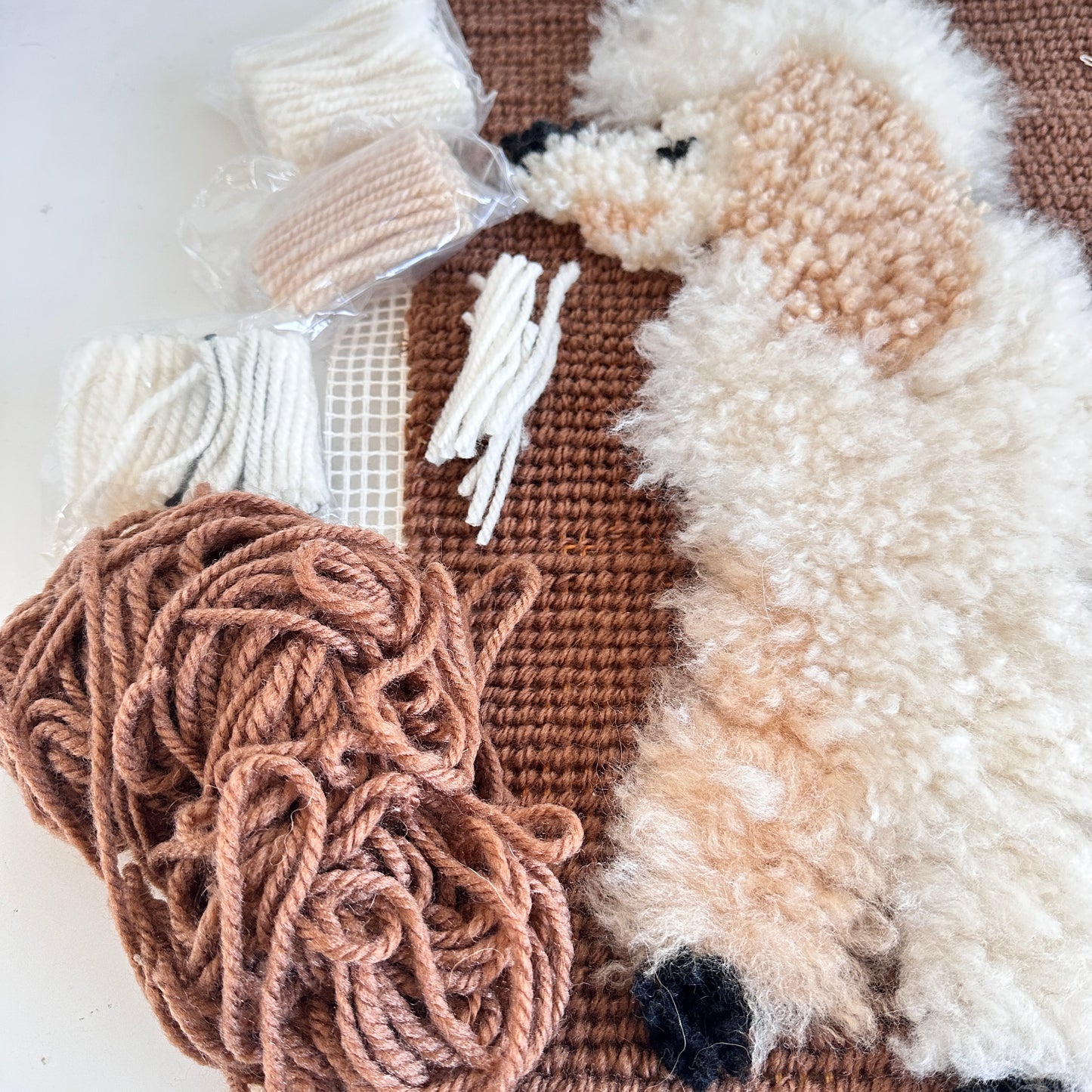 HC009 WIP POODLE LATCHHOOK KIT