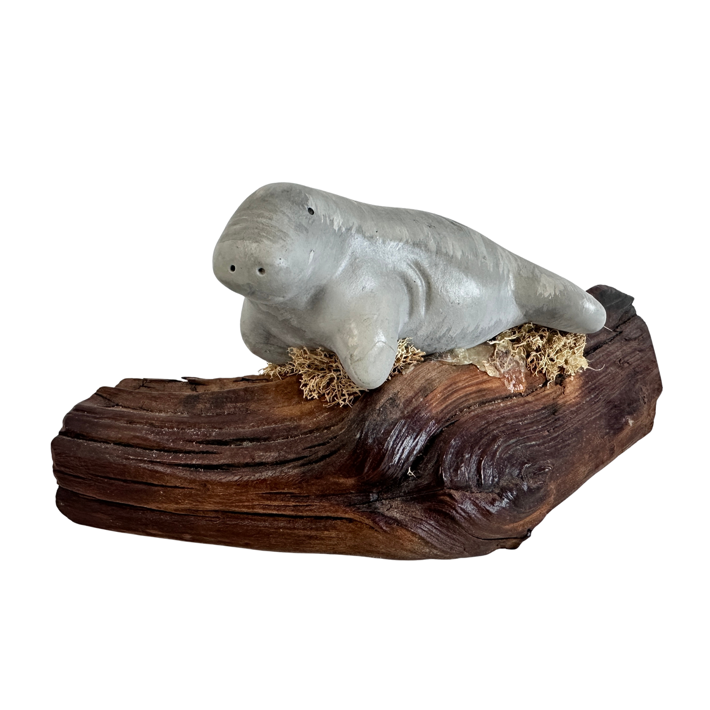 OB048 MANATEE ON A LOG