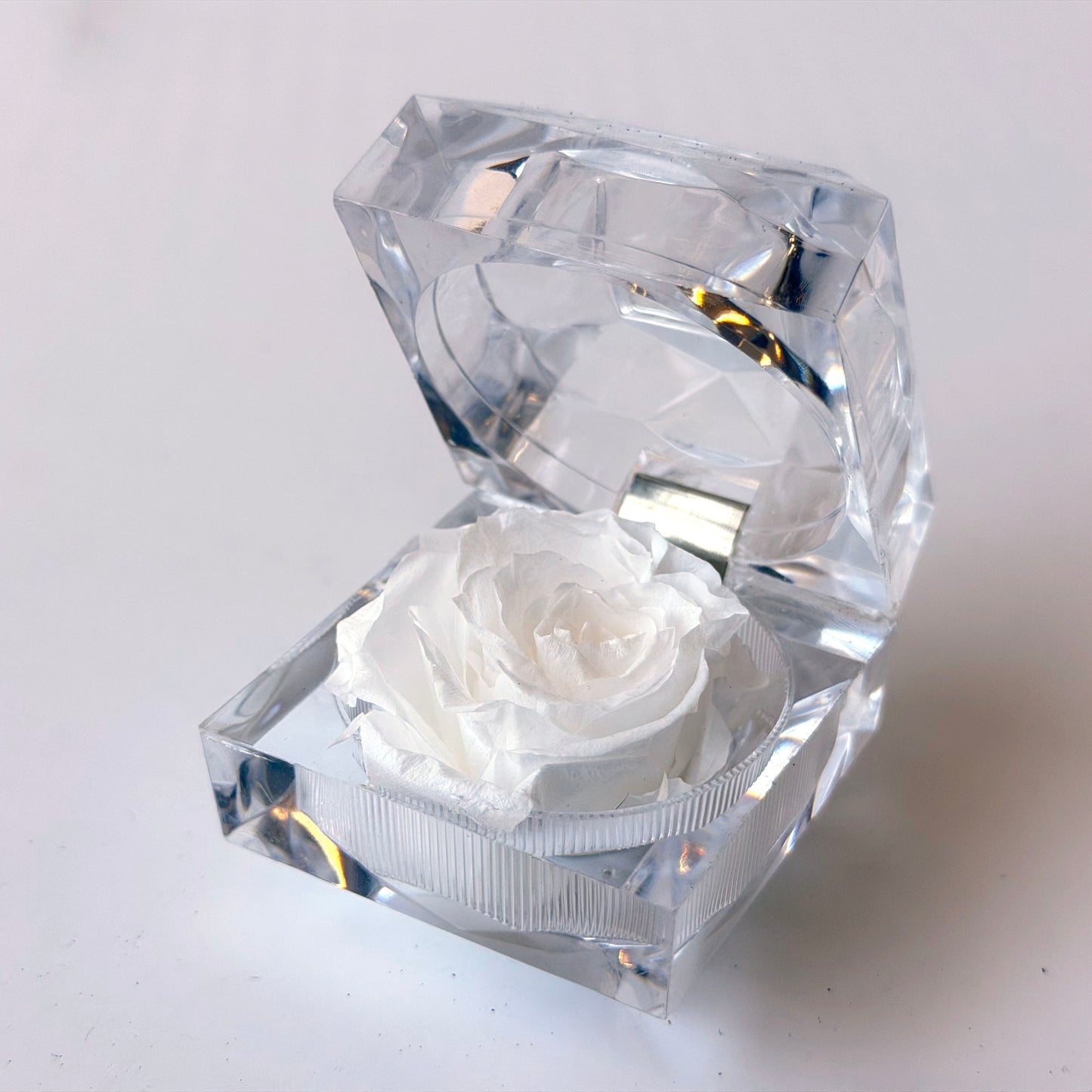OB105 WHITE ROSE IN ACRYLIC BOX