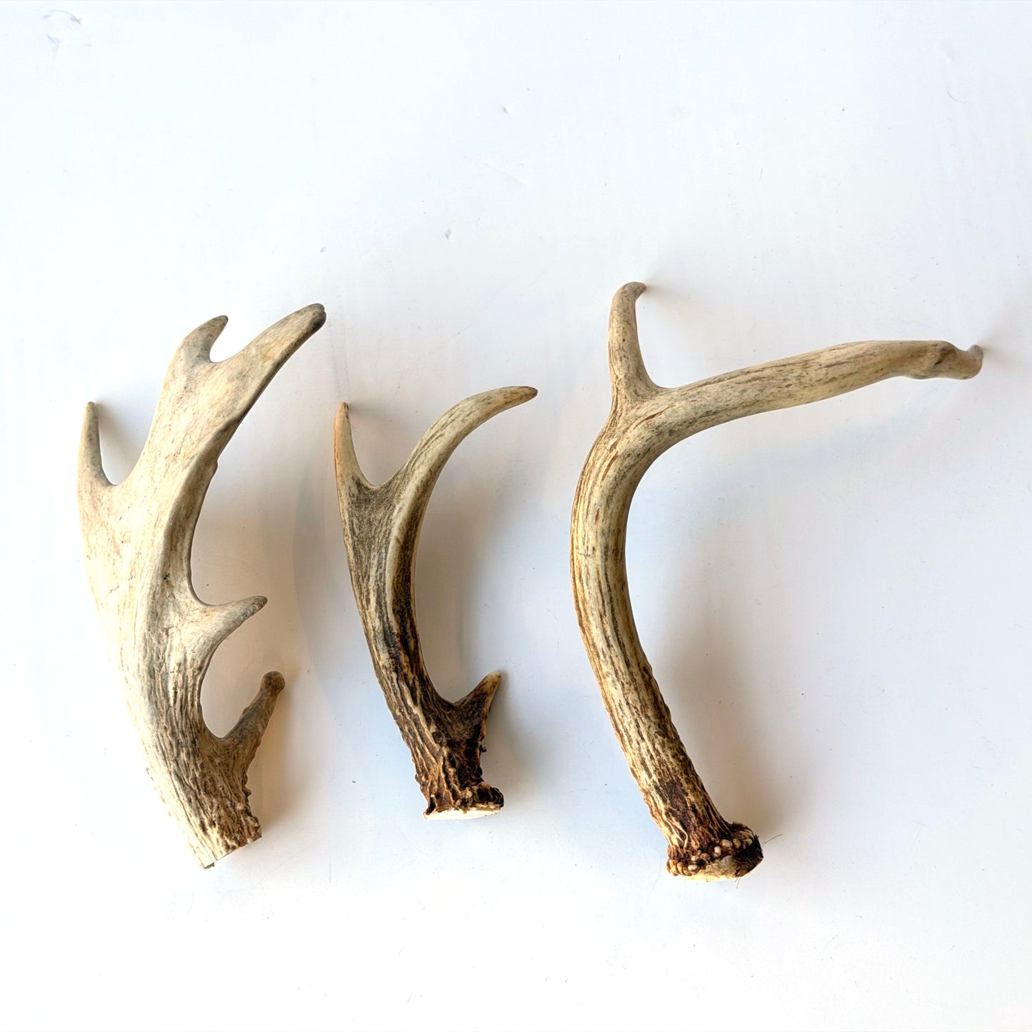 OB114 ANTLER TRIO