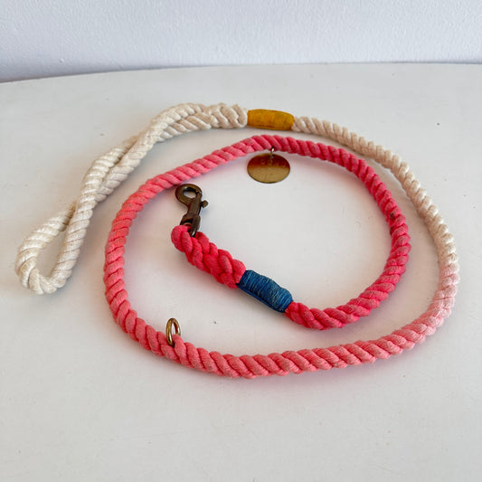 PT006 PINK GRADIENT DOG LEASH