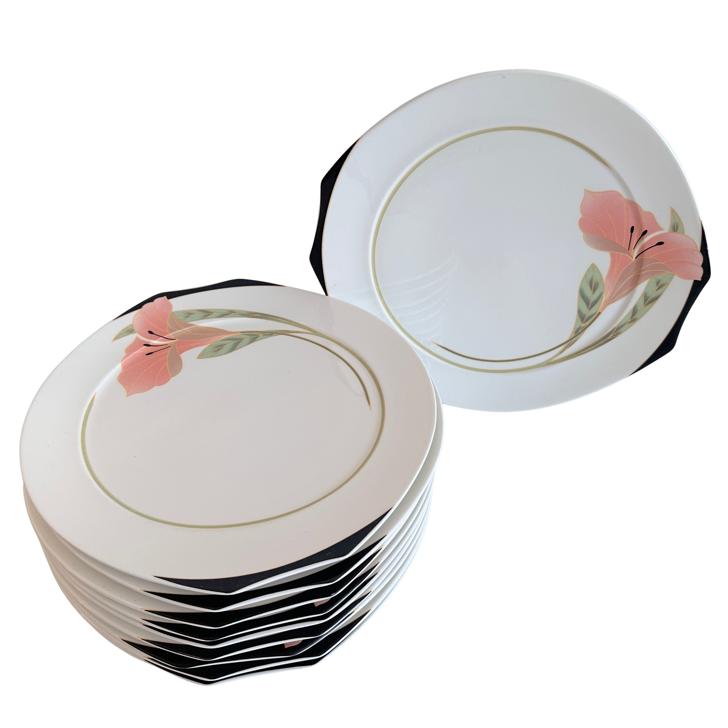 TT146 SET OF 10 IRIS DINNER PLATES