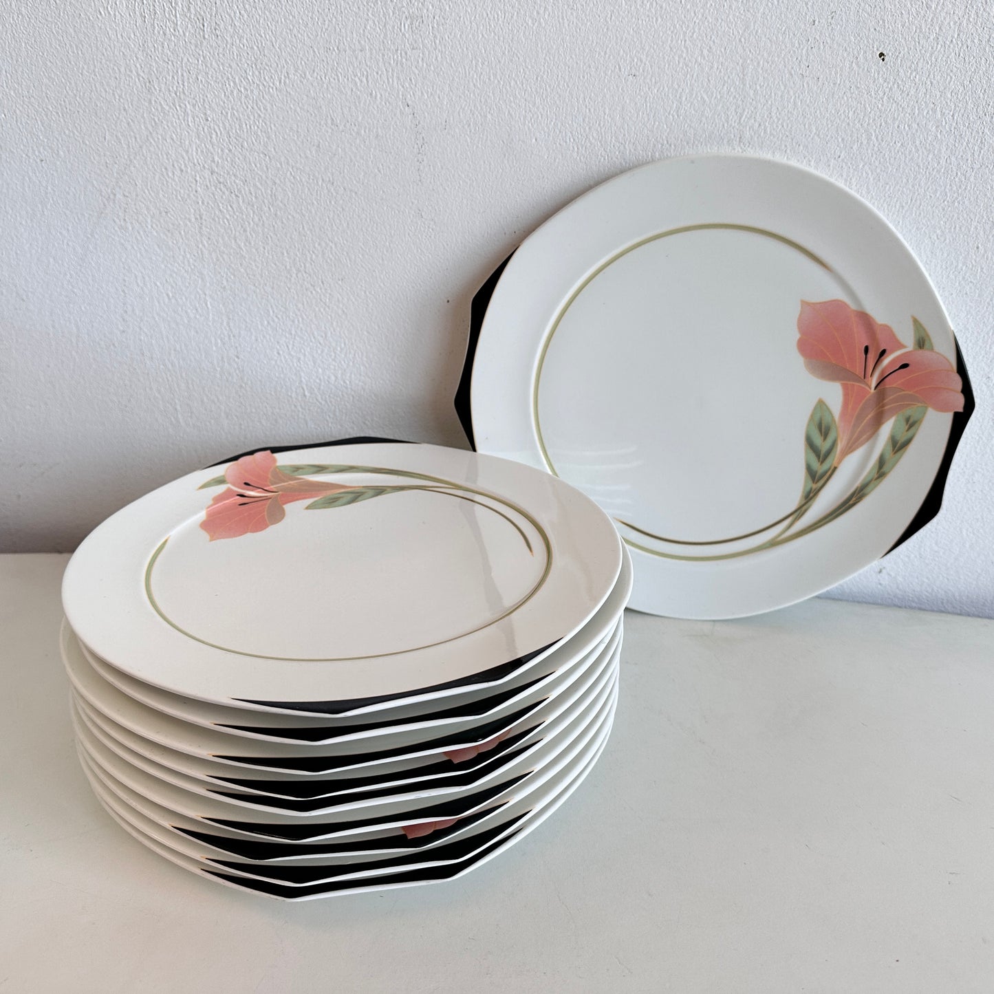 TT146 SET OF 10 IRIS DINNER PLATES