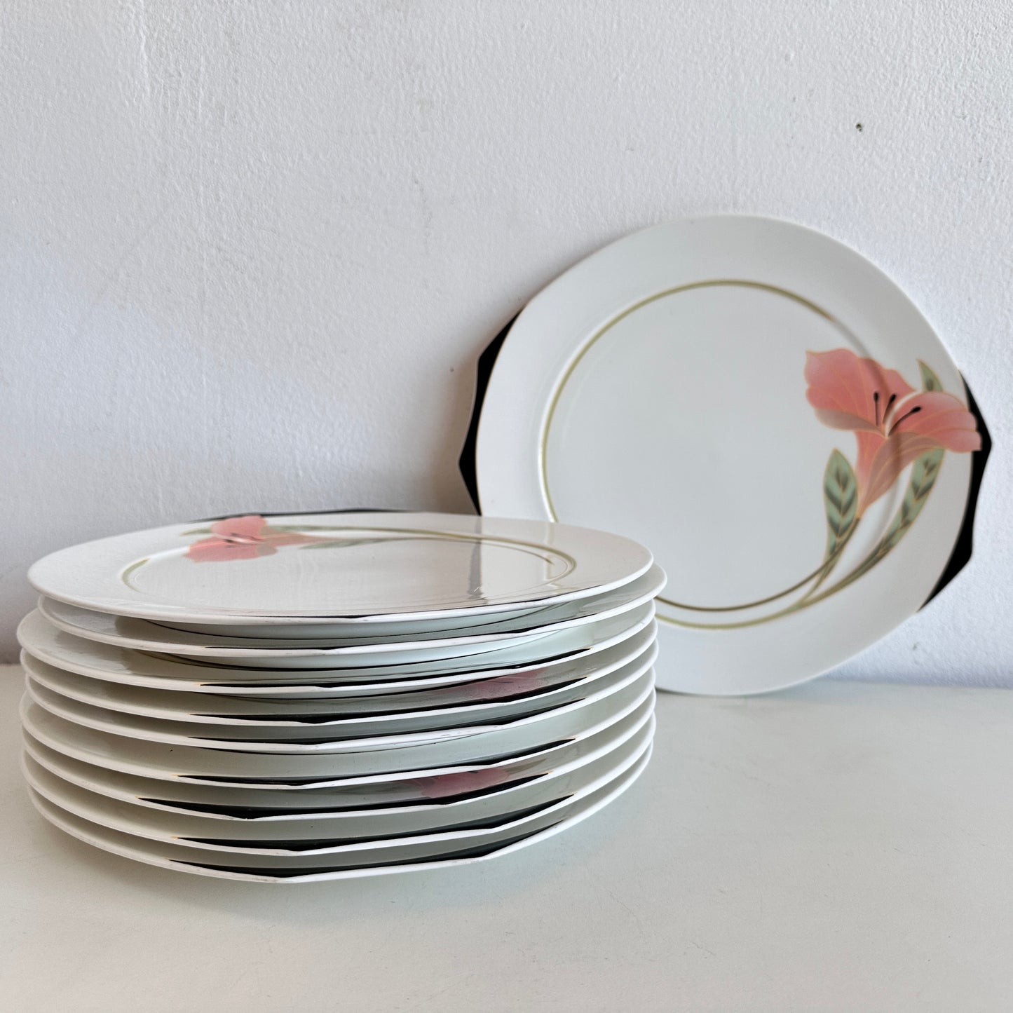 TT146 SET OF 10 IRIS DINNER PLATES