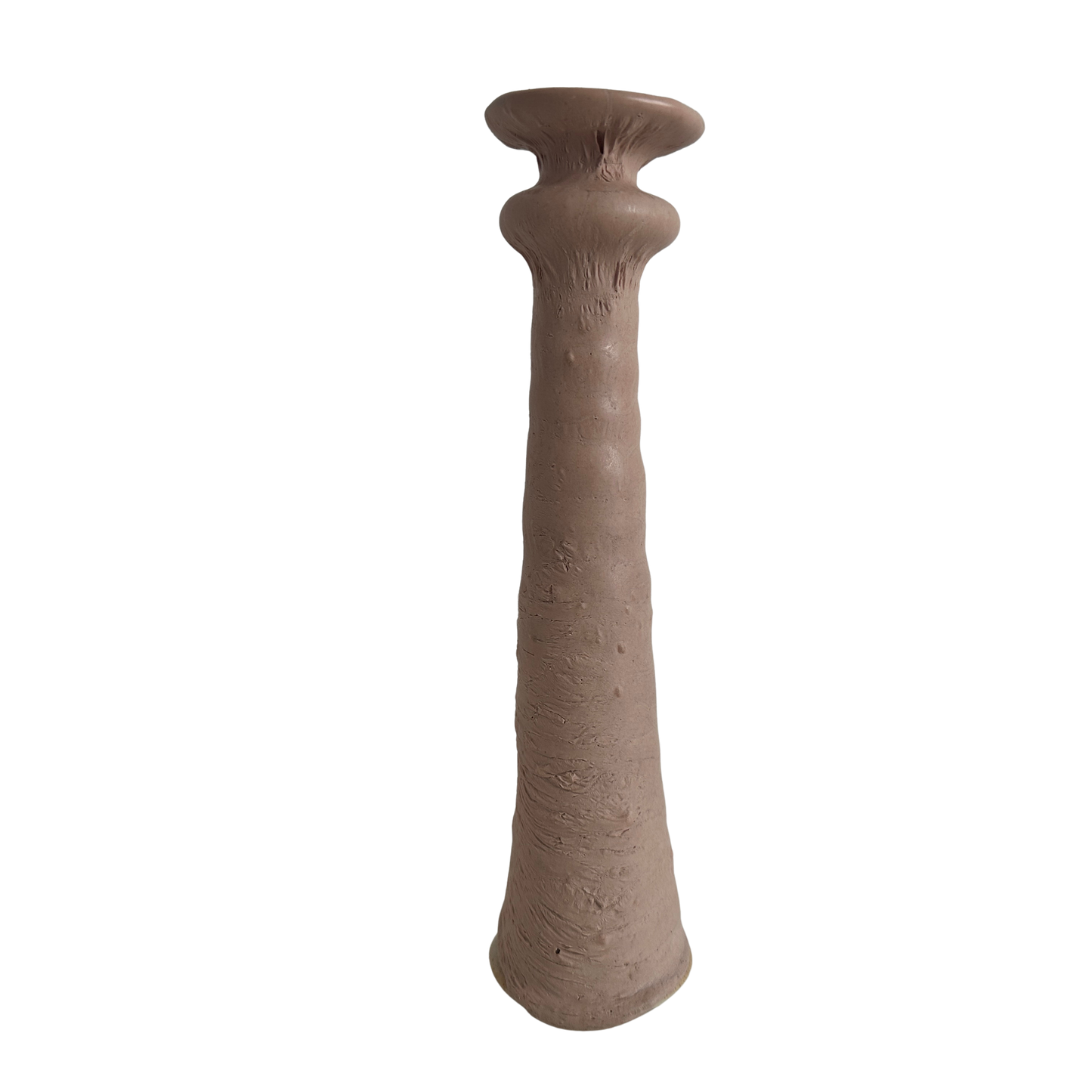 VS046 FLESH VESSEL #7