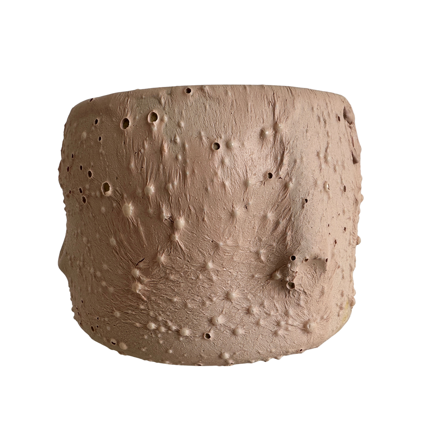 VS048 FLESH VESSEL #6