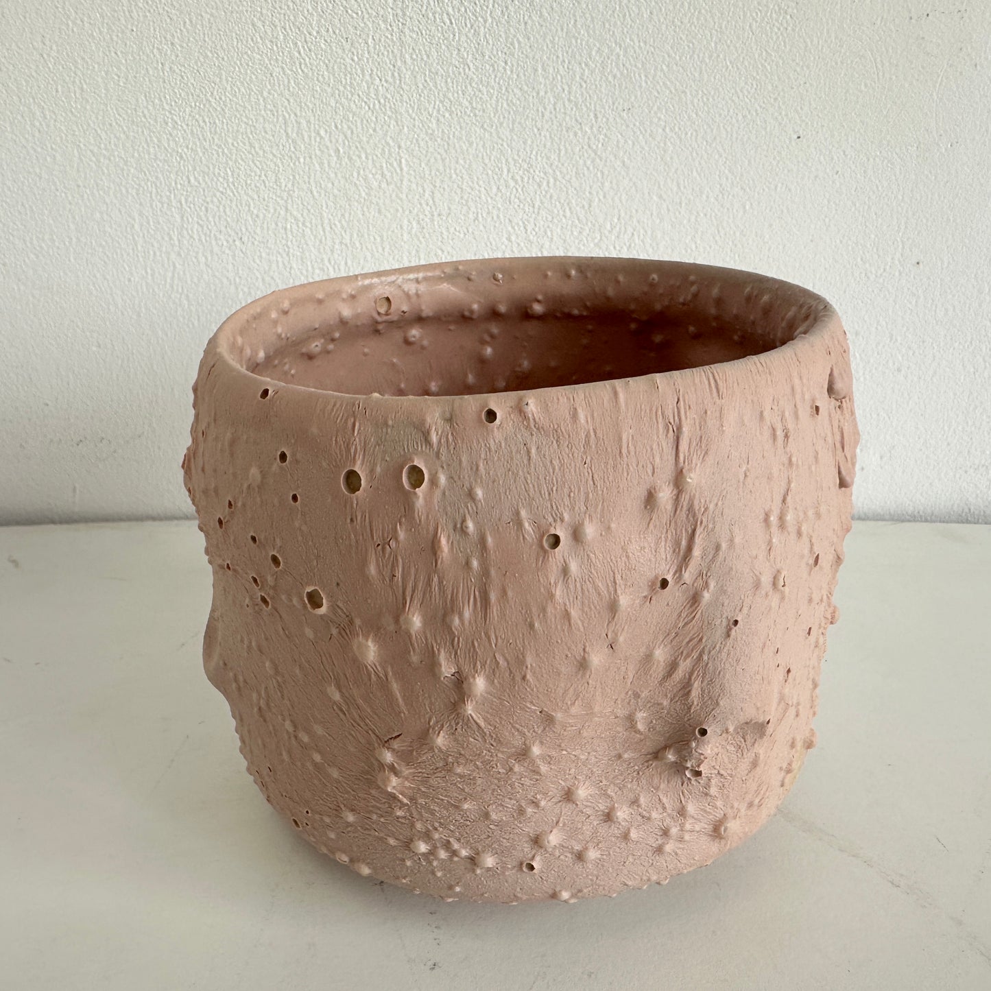 VS048 FLESH VESSEL #6