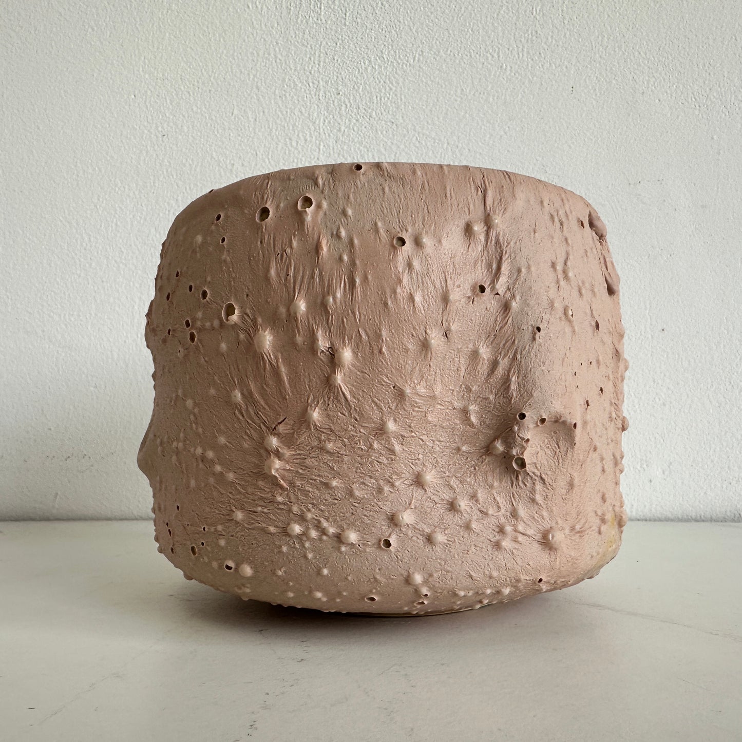 VS048 FLESH VESSEL #6
