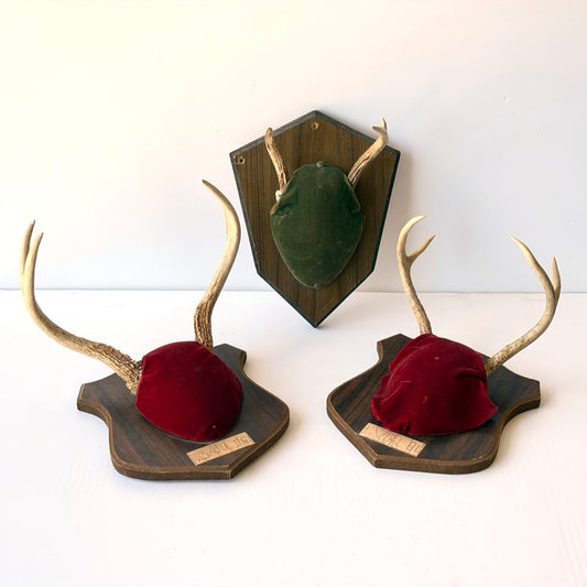 WD023 TRIO OF VELVET ANTLER MOUNTS