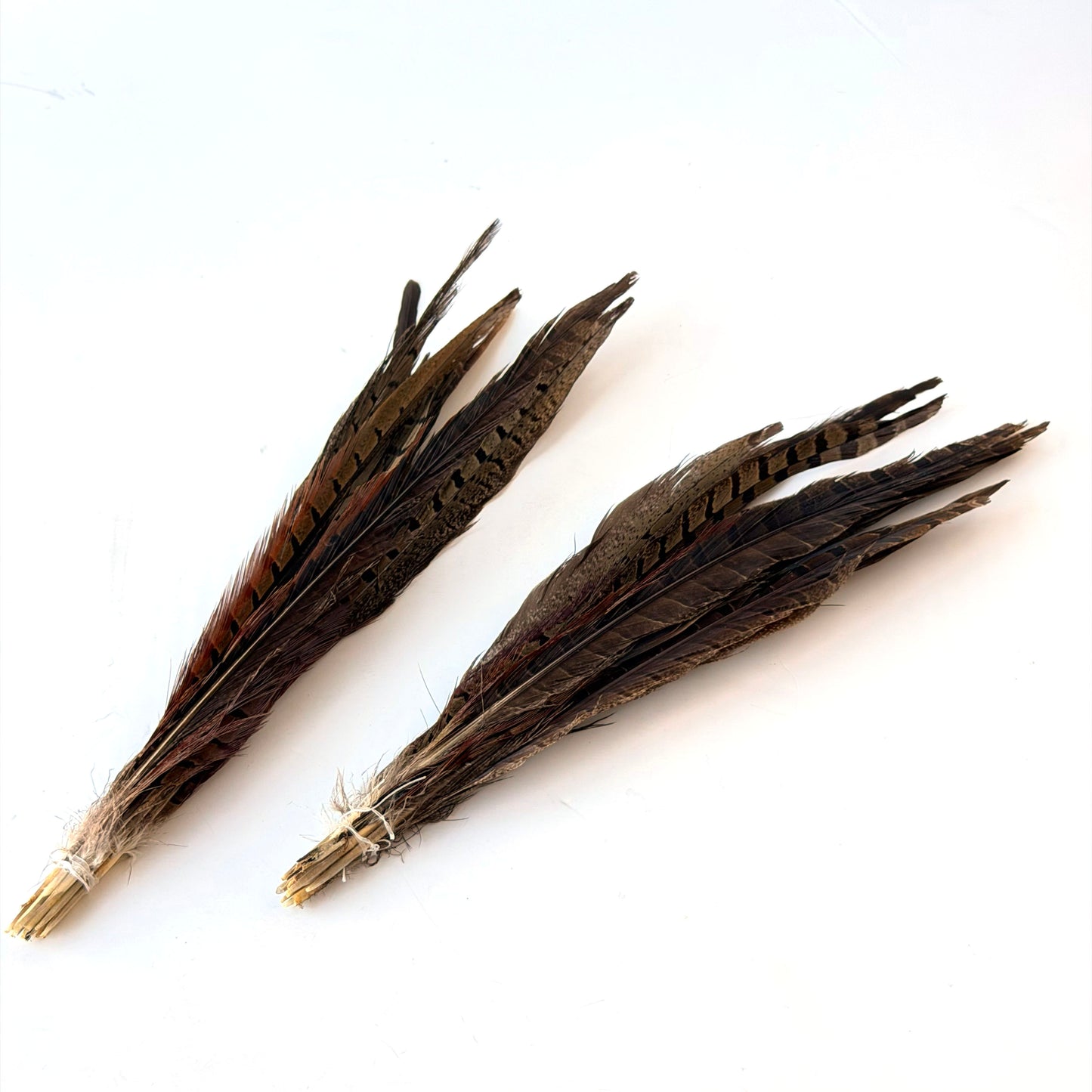 OB135 2 BUNCHES OF FEATHERS