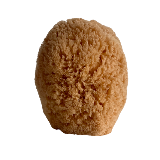 BB014 NATURAL SPONGE