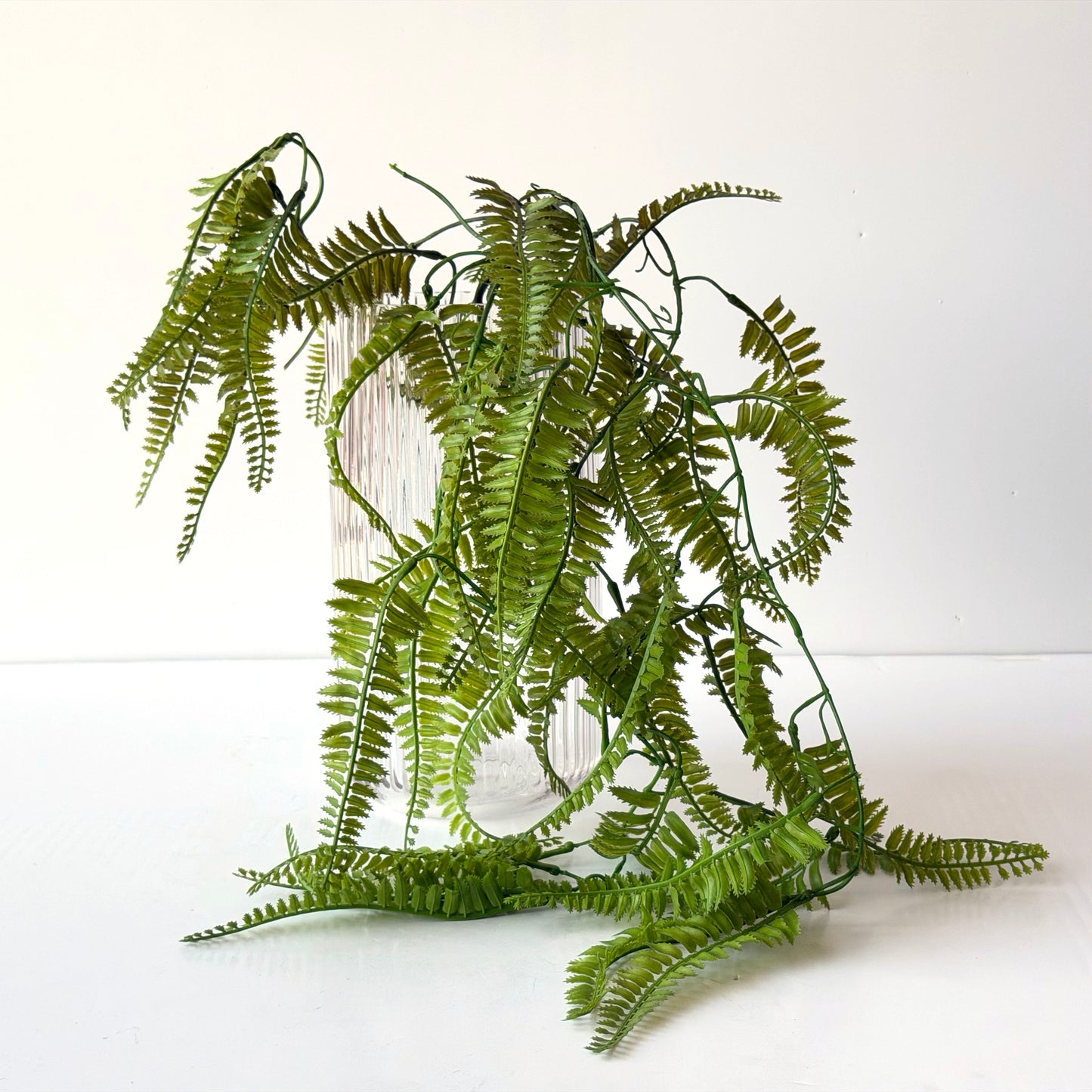 FF008 SILK HANGING FERN 1