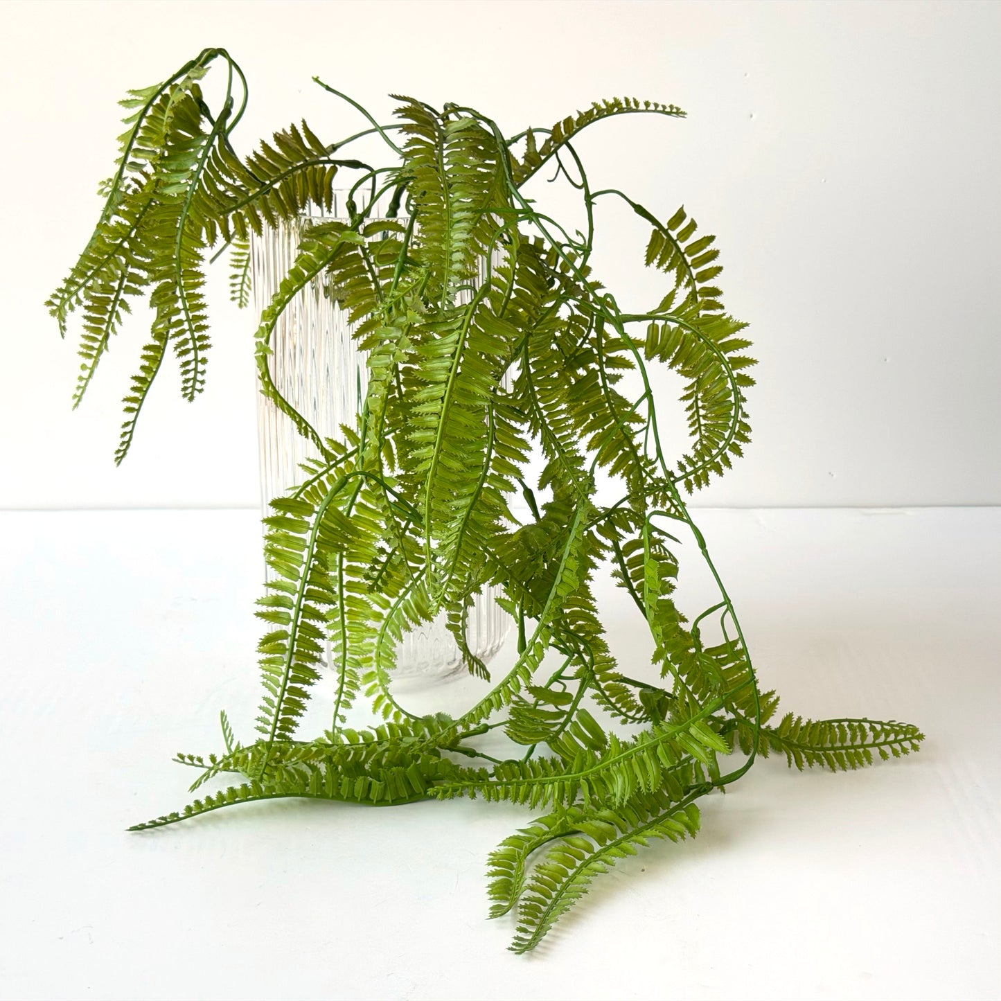 FF008 SILK HANGING FERN 1