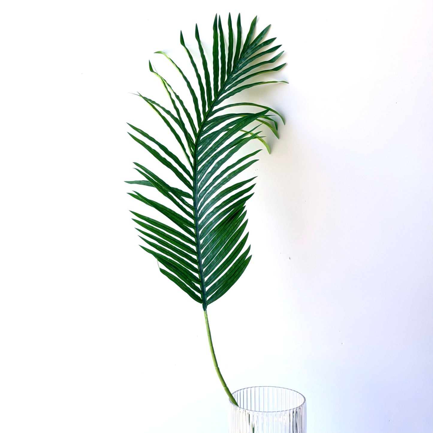 FF0014 SILK PALM FRONDS