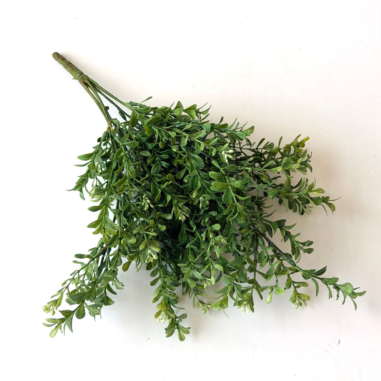FF0018 SILK BOXWOOD BUSH