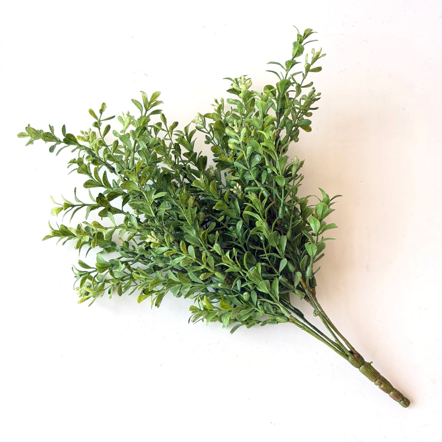 FF0018 SILK BOXWOOD BUSH