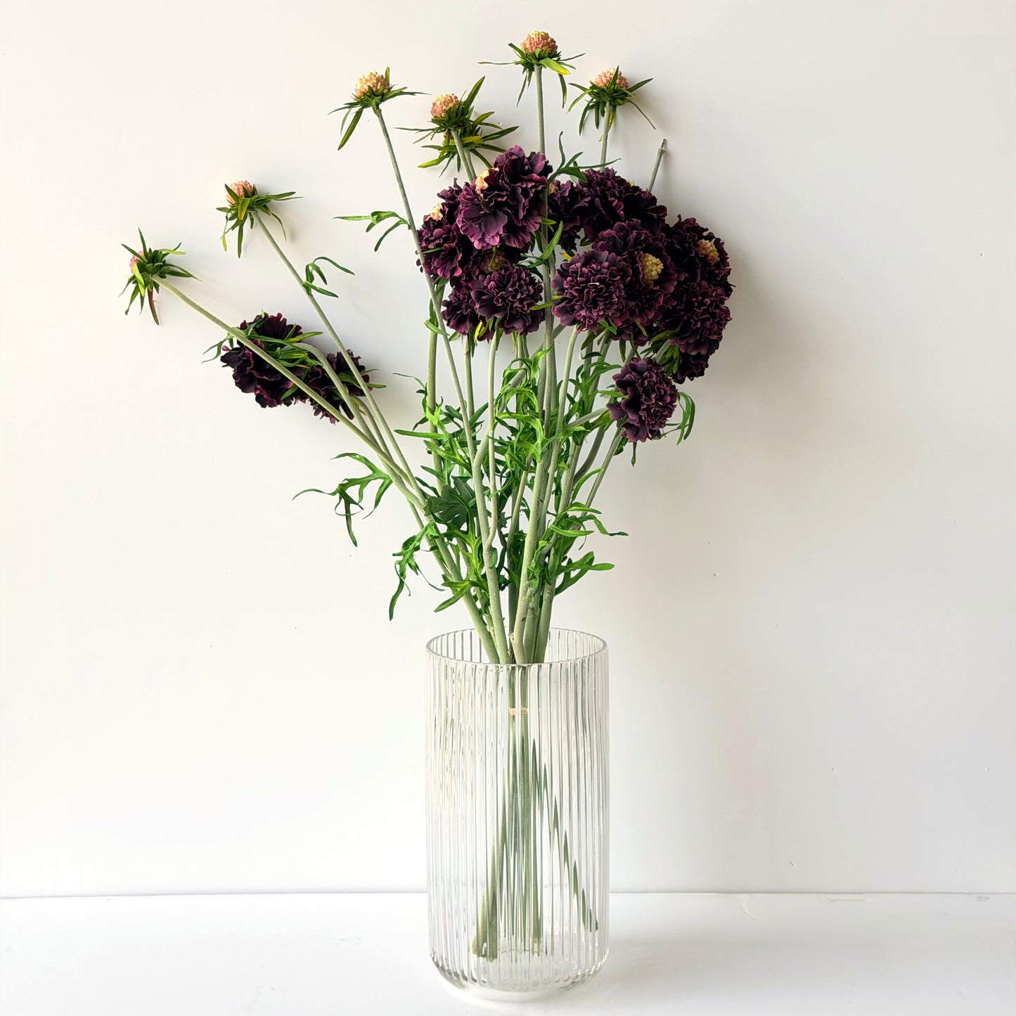 FF0039 SILK PURPLE SCABOSIA SPRAY