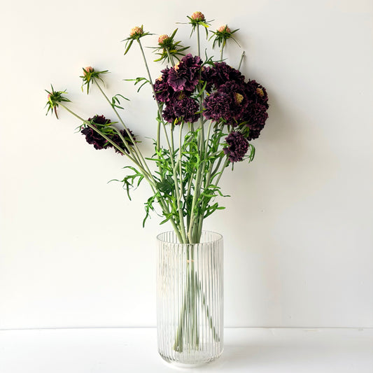 FF0039 SILK PURPLE SCABOSIA SPRAY