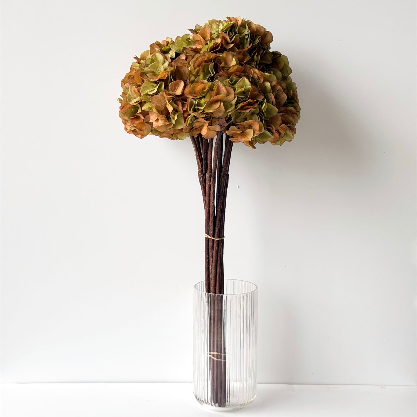 FF0053 SILK GREEN HYDRANGEA 32" STEM