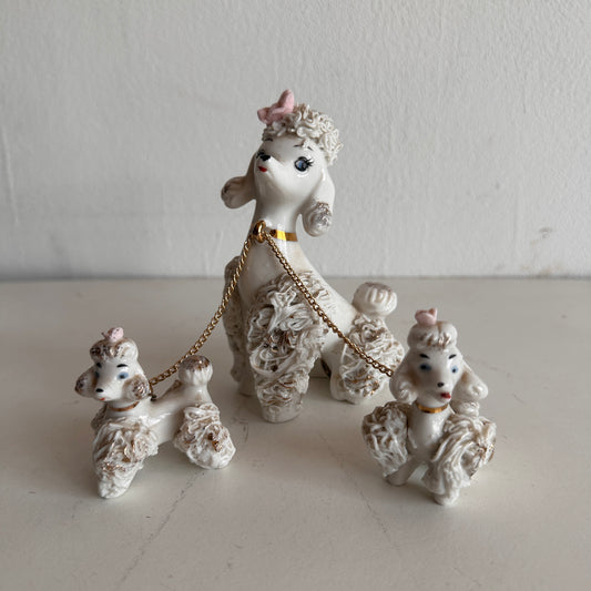 OB005 KINKY POODLE CREW