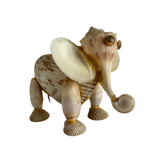 OB037 UGLY SHELL ELEPHANT