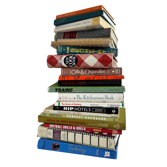 OB042 20" STACK OF BOOKS