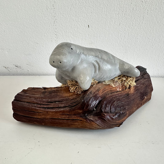 OB048 MANATEE ON A LOG