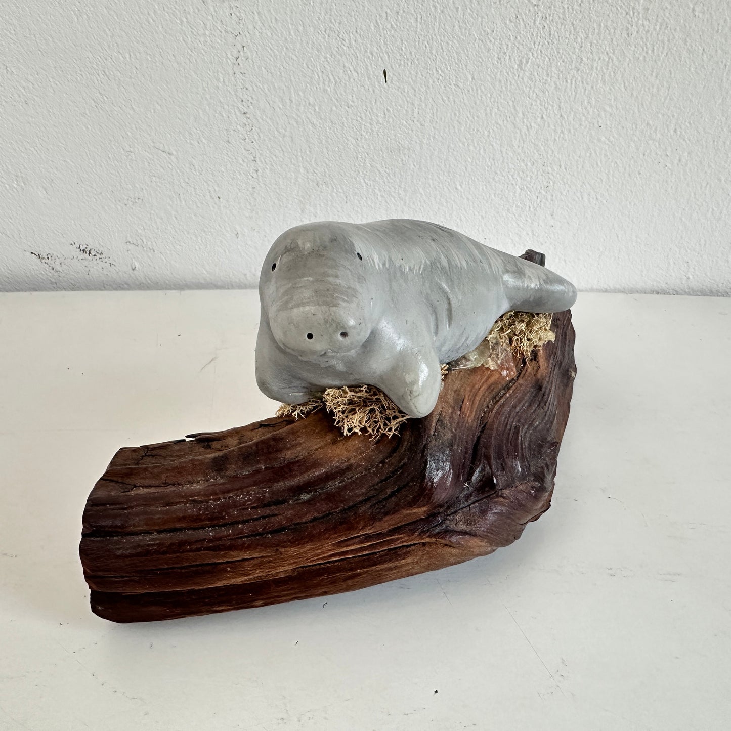 OB048 MANATEE ON A LOG
