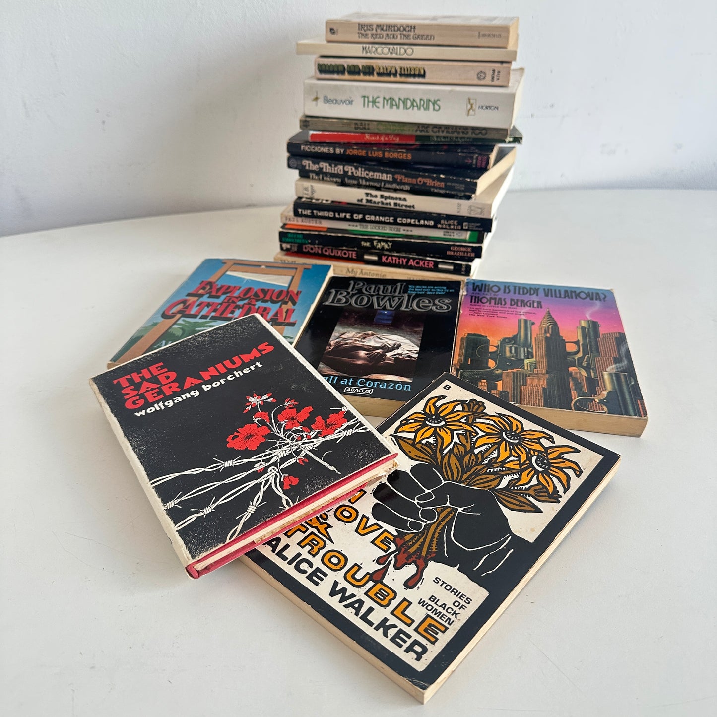 OB077 12" STACK OF HIGHBROW LIT WITH BEAUTIFUL COVERS