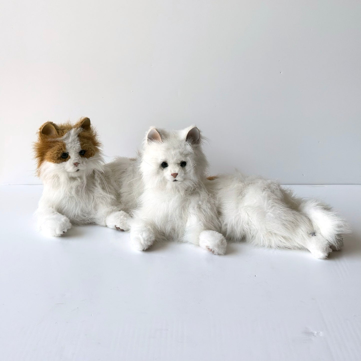 OB087C SET OF TWO ELECTRONIC CATS