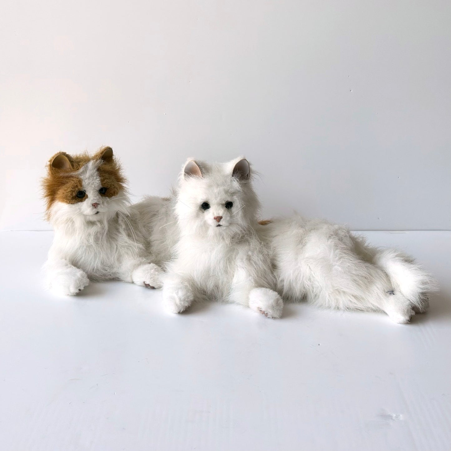OB087C SET OF TWO ELECTRONIC CATS