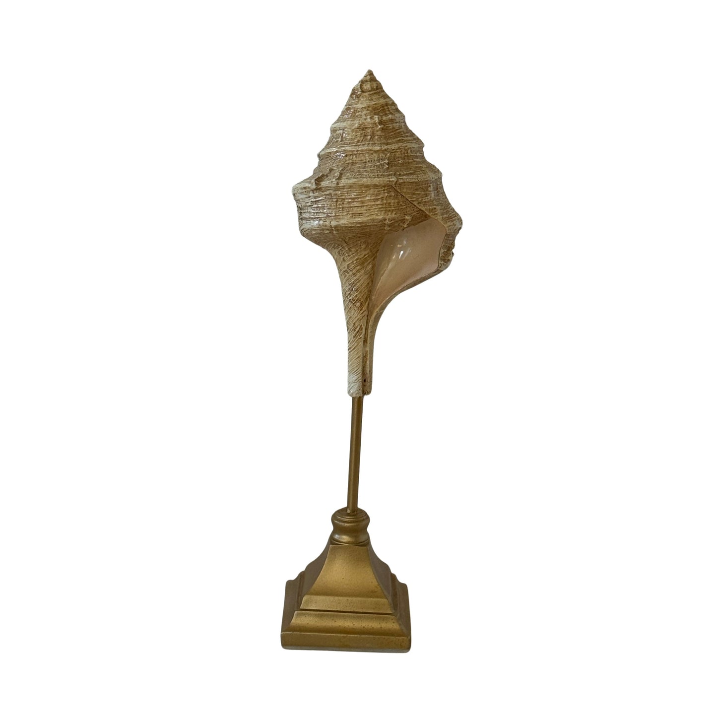 OB090 SEASHELL ART SCULPTURE