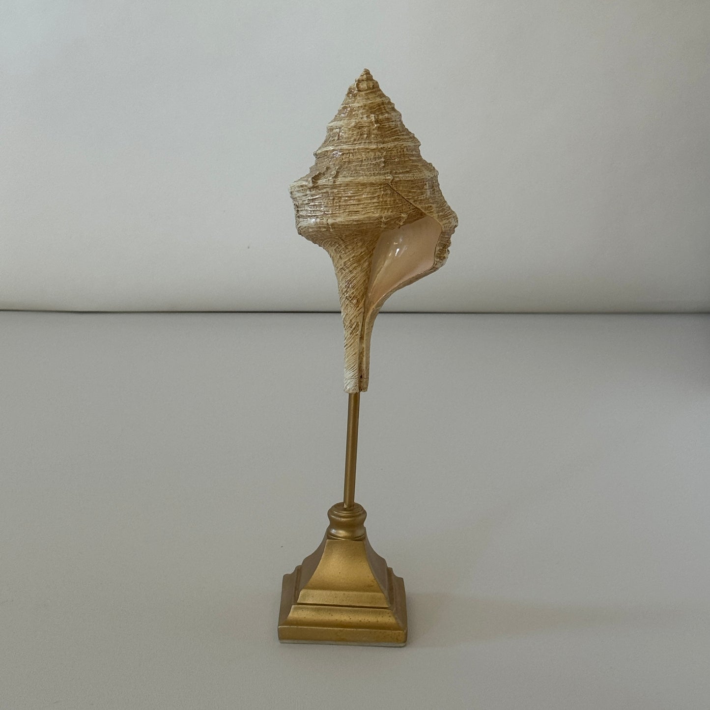 OB090 SEASHELL ART SCULPTURE
