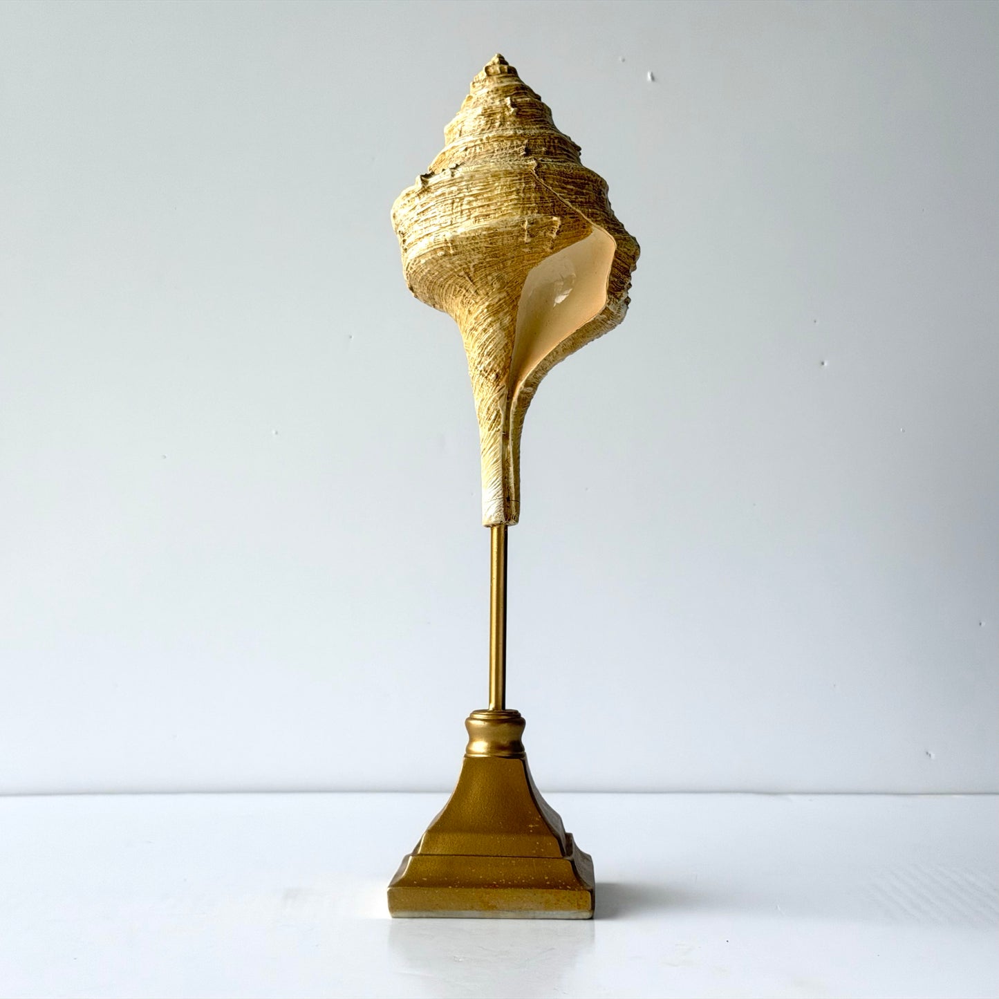 OB090 SEASHELL / STICK SCULPTURE