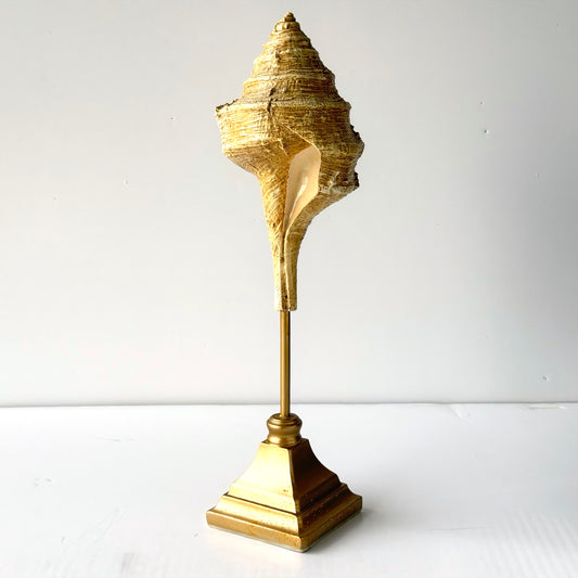 OB090 SEASHELL / STICK SCULPTURE