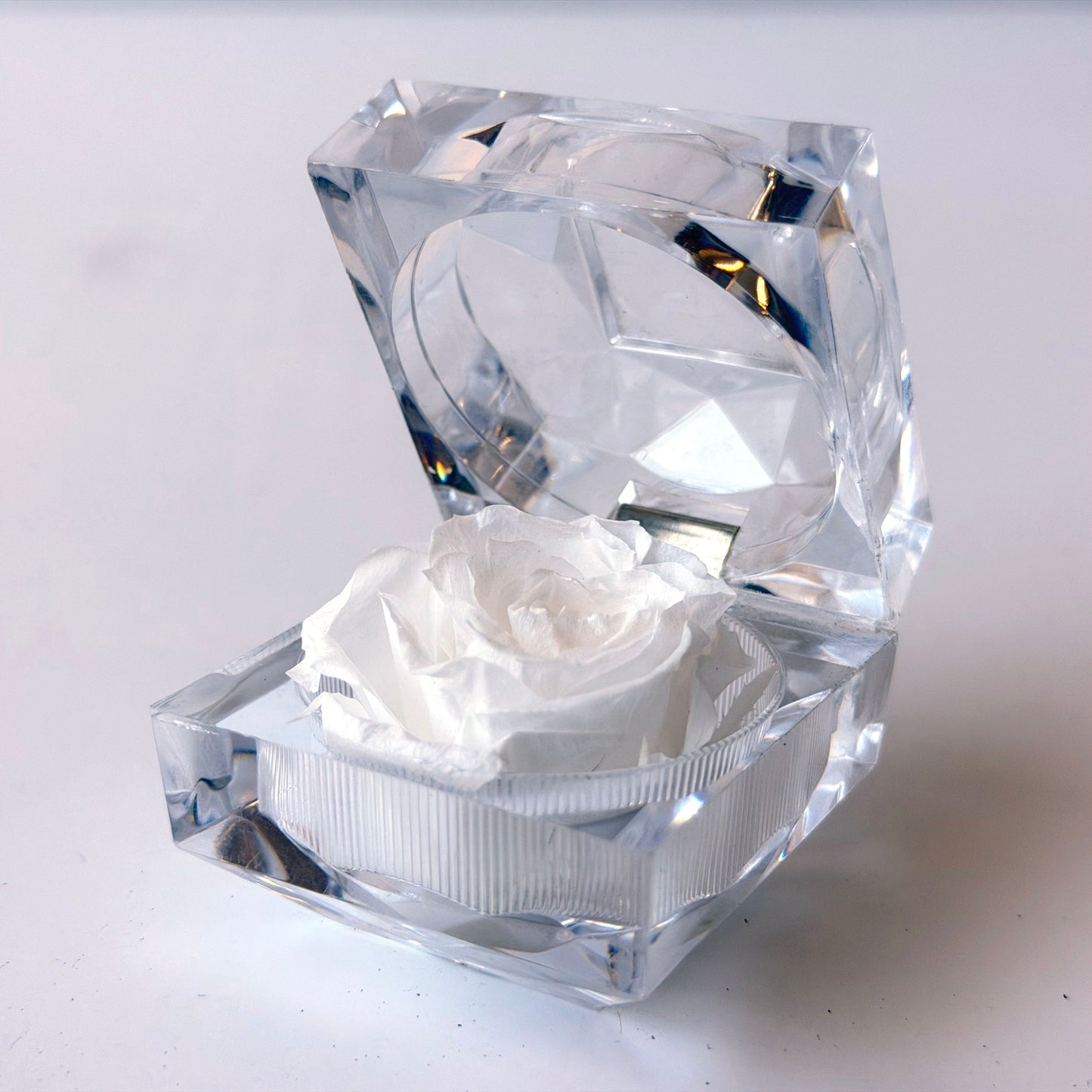 OB105 WHITE ROSE IN ACRYLIC BOX