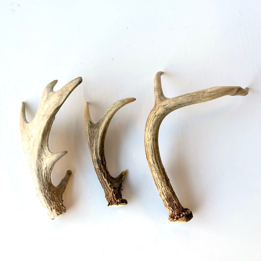OB114 ANTLER TRIO