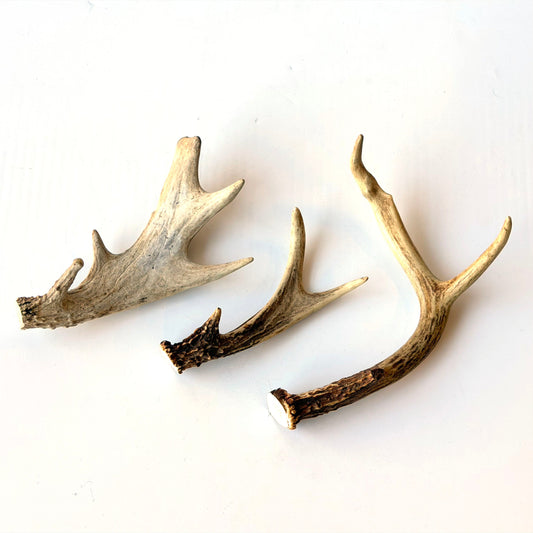 OB114 ANTLER TRIO