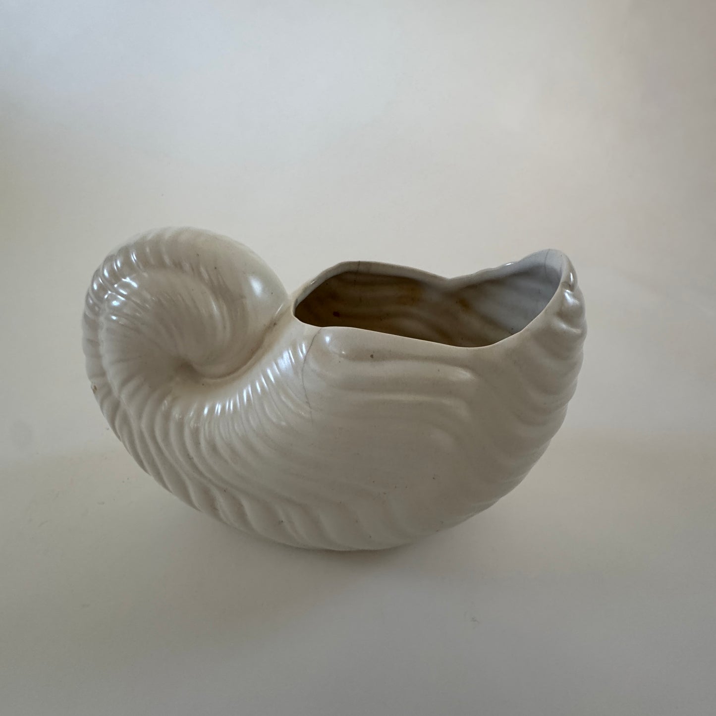 PL013 WHITE SHELL PLANTER/ VASE