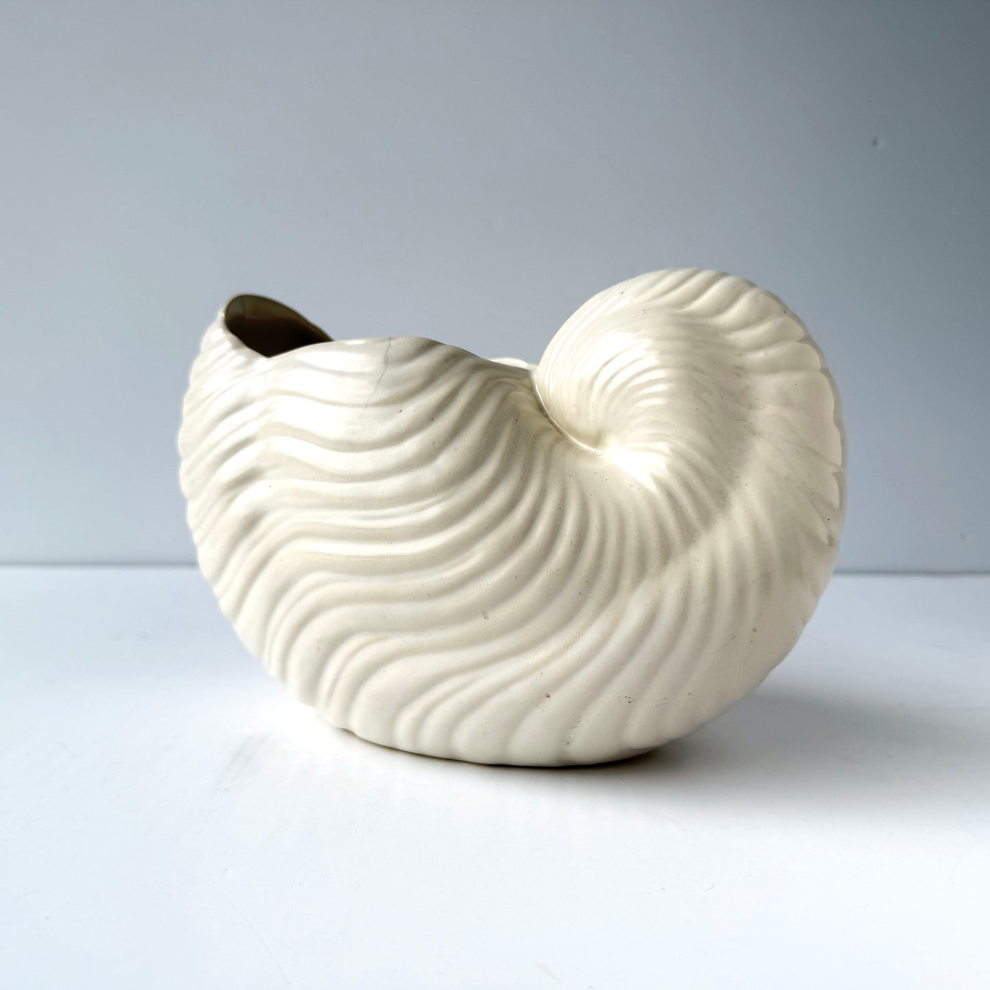 PL013 WHITE SHELL PLANTER/ VASE