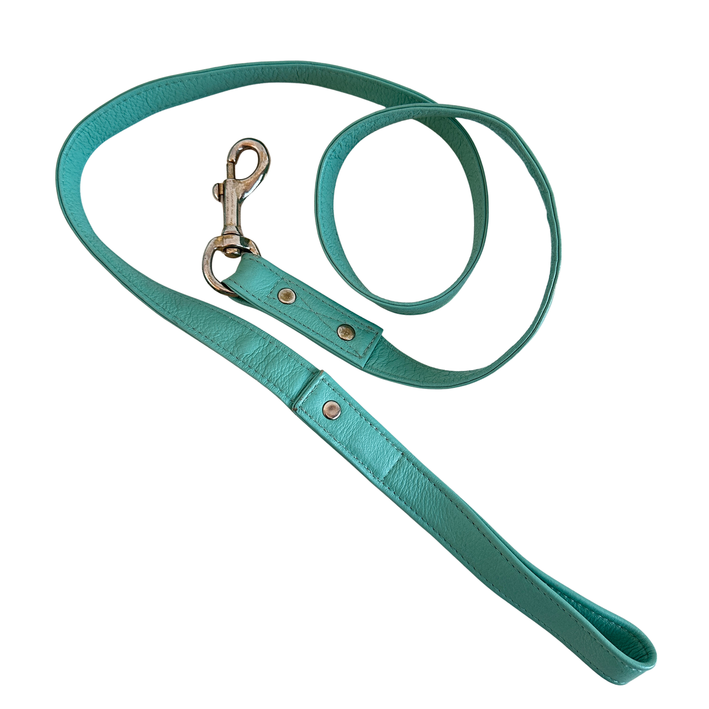PT005 SEAFOAM LEATHER DOG LEASH