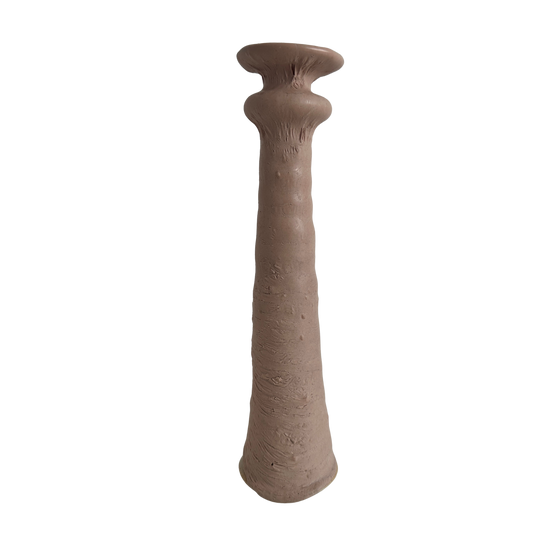 VS046 FLESH VESSEL #7