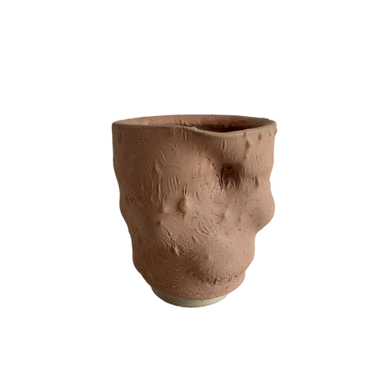 VS047 FLESH VESSEL #3