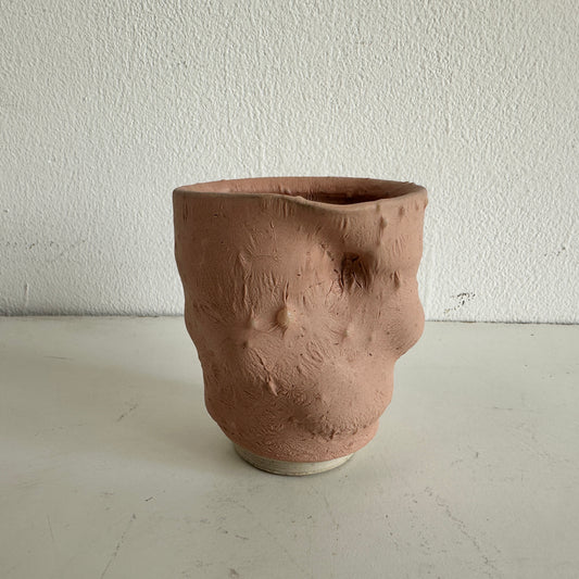 VS047 FLESH VESSEL #3