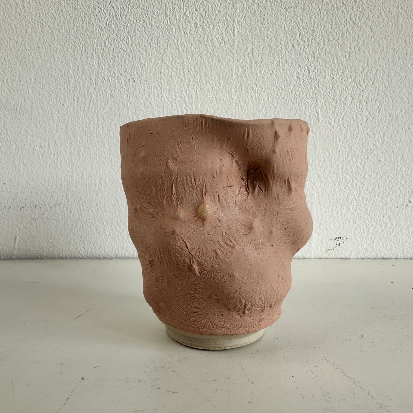 VS047 FLESH VESSEL #3